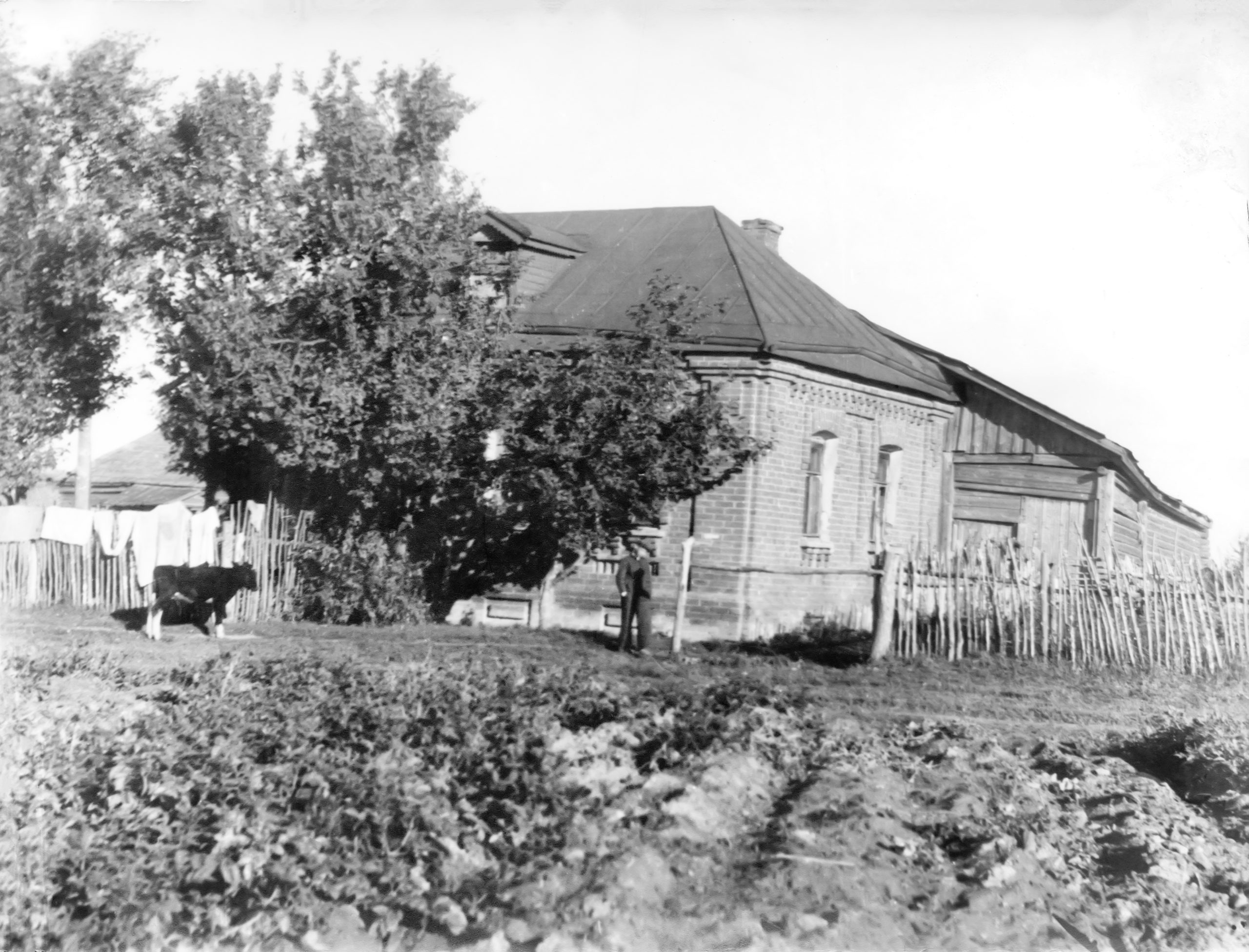 Left Image
