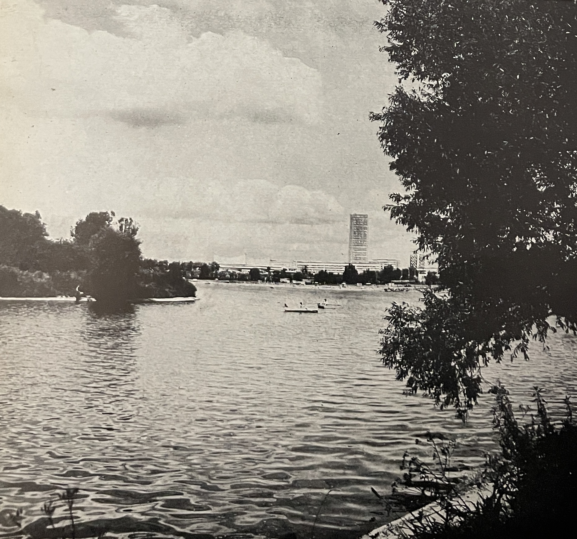 Left Image