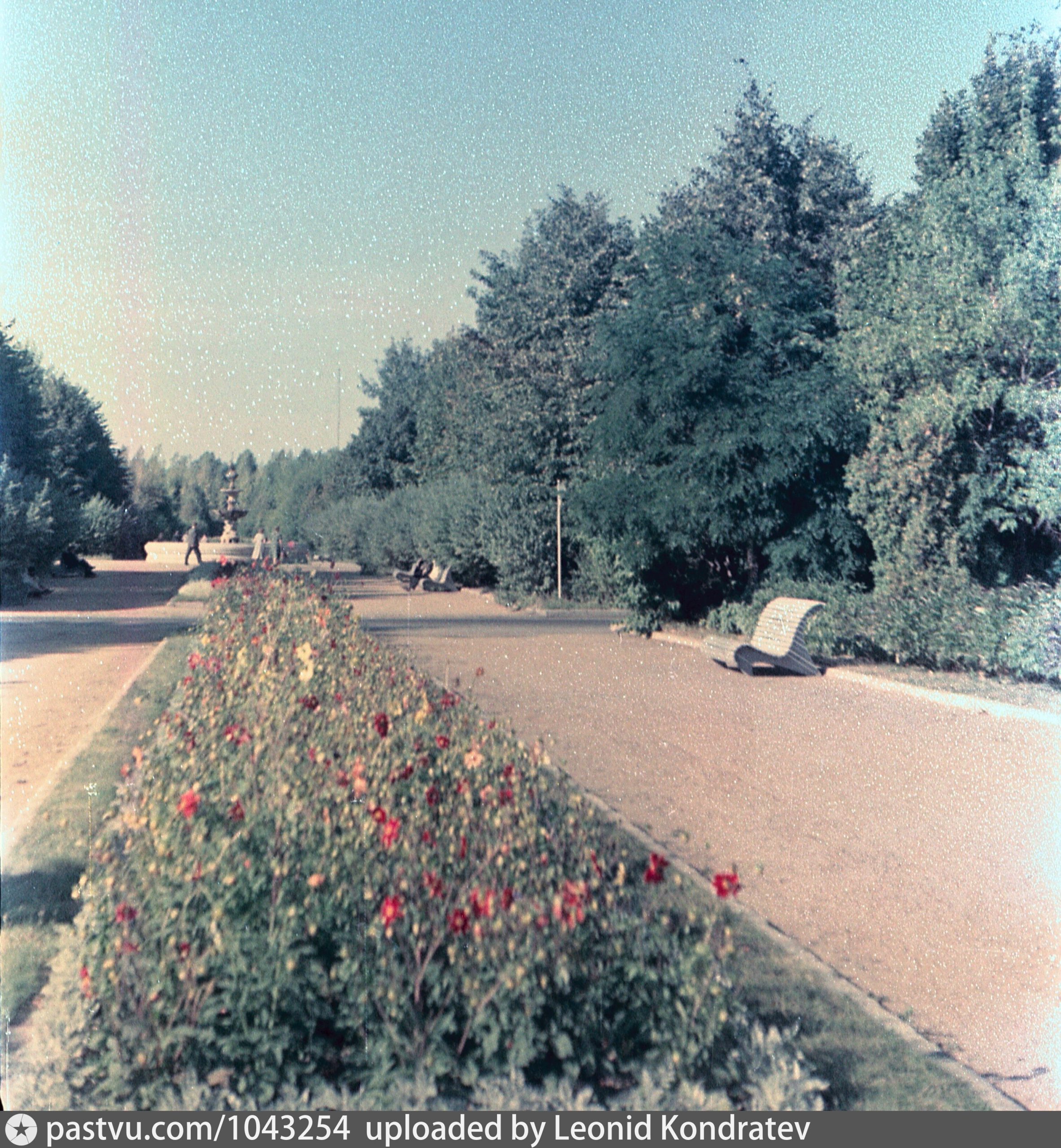 Left Image