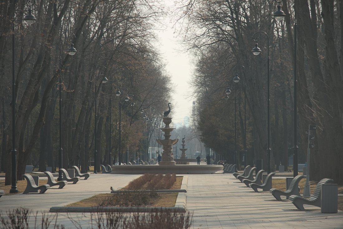 Right Image