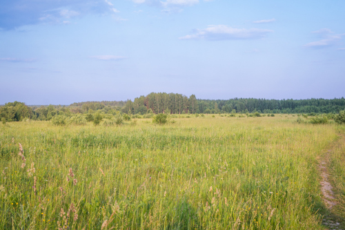 Природа реки Медведица