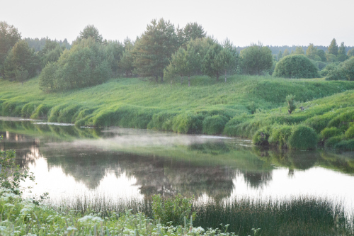 Природа реки Медведица