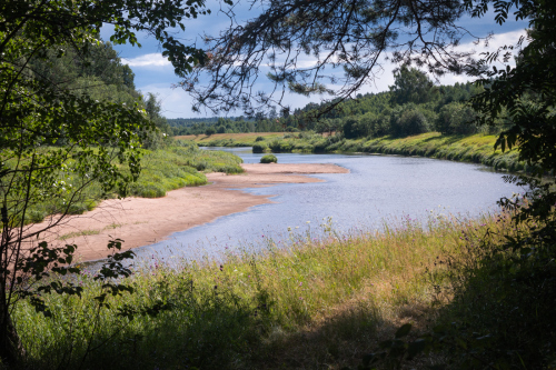 Природа реки Медведица