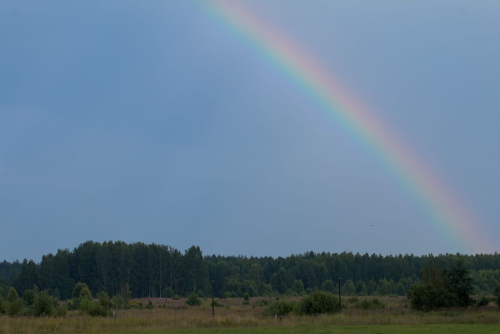 Радуга над полем и лесом 